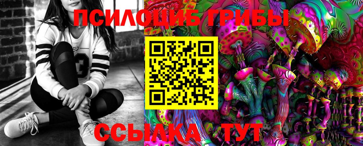 Удомля  Псилоцибиновые грибы Cubensis  Вход с VPN 